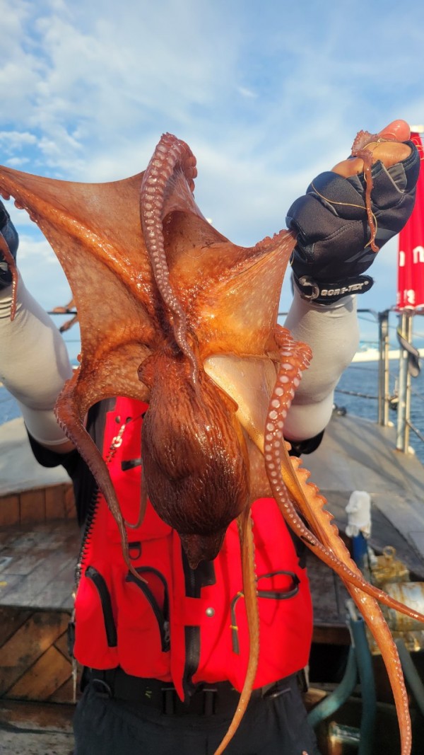 9e34dedc3c385355fe1f4fcd9d09f334_1767521