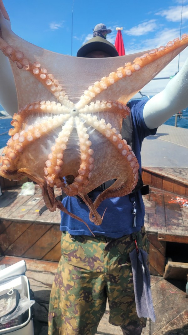 9e34dedc3c385355fe1f4fcd9d09f334_1767521