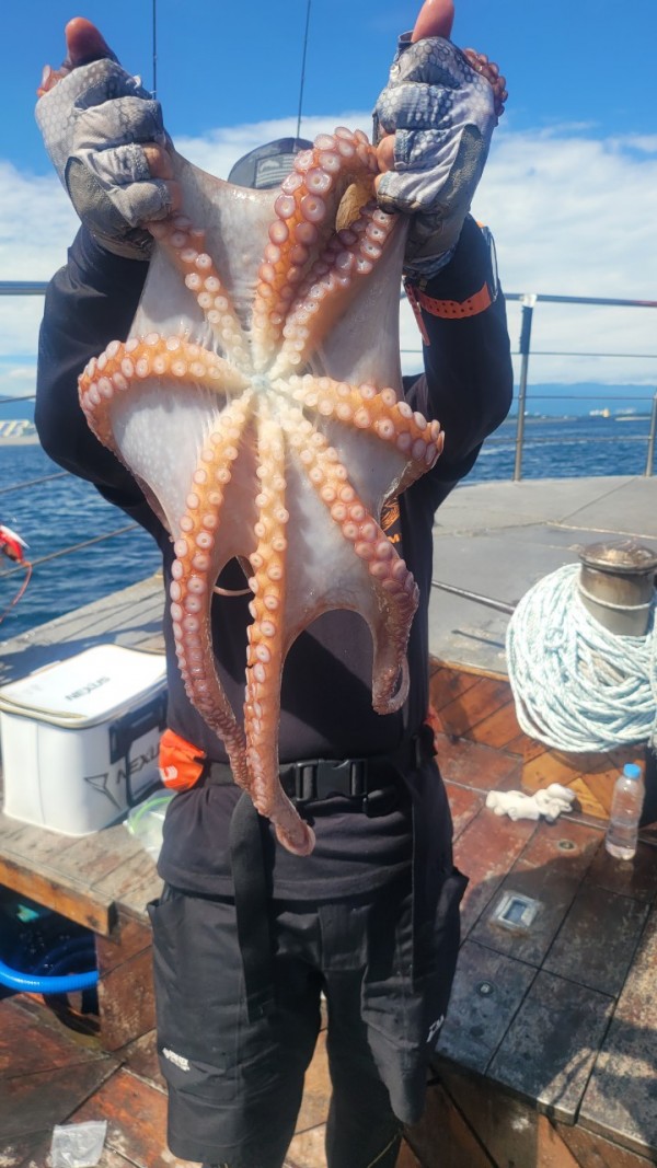 9e34dedc3c385355fe1f4fcd9d09f334_1767521