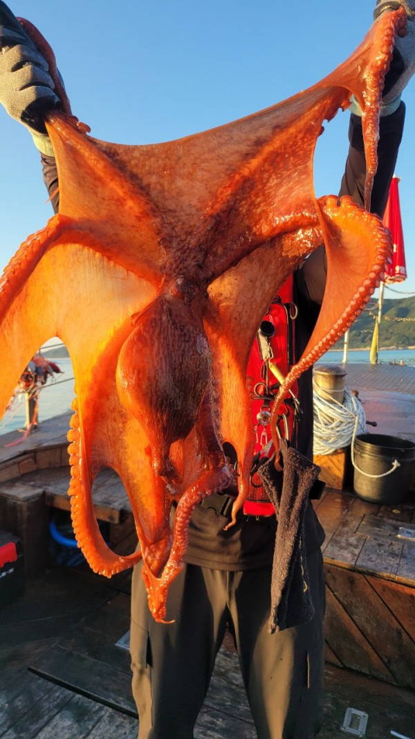 9e34dedc3c385355fe1f4fcd9d09f334_1767521