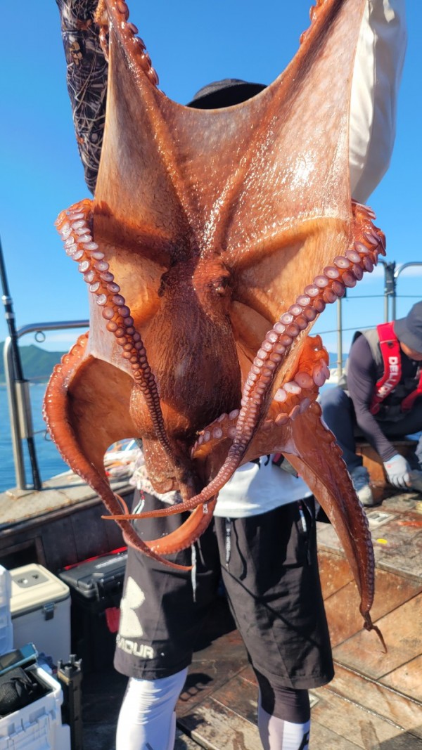 9e34dedc3c385355fe1f4fcd9d09f334_1767521