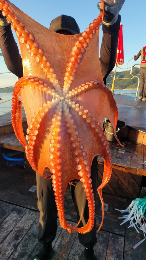 9e34dedc3c385355fe1f4fcd9d09f334_1767521