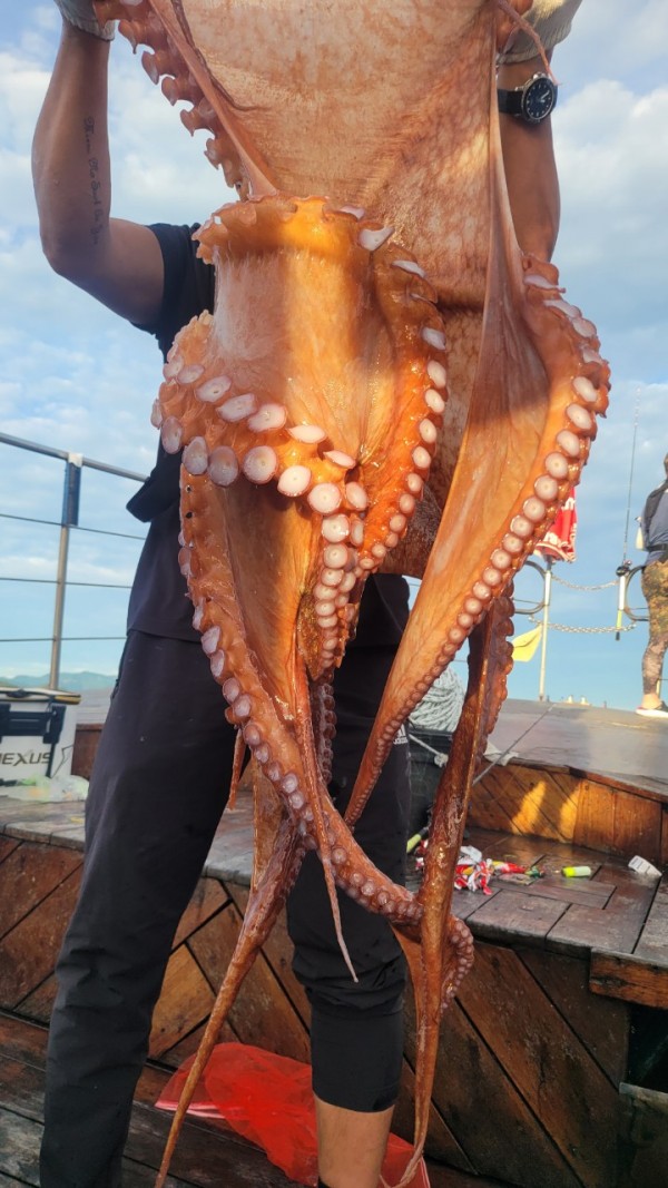 9e34dedc3c385355fe1f4fcd9d09f334_1767521