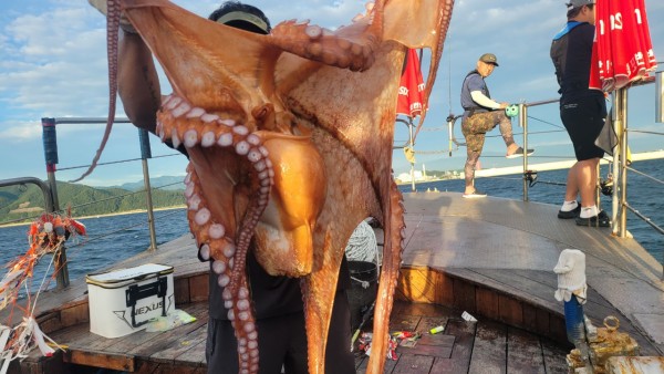 9e34dedc3c385355fe1f4fcd9d09f334_1767521