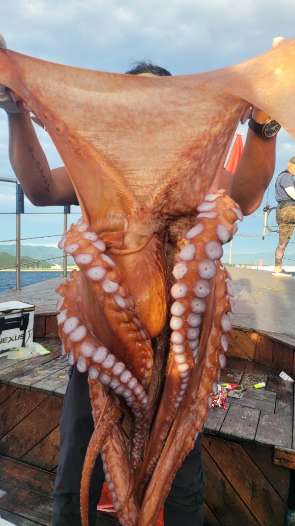 9e34dedc3c385355fe1f4fcd9d09f334_1767521