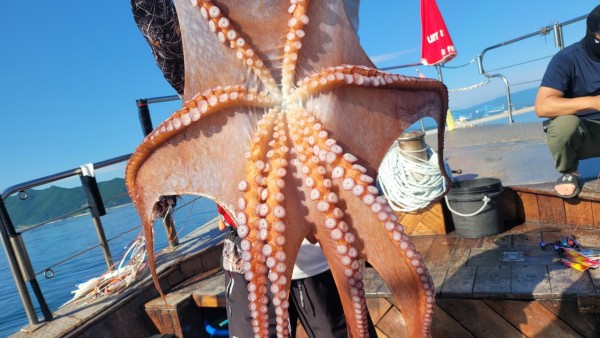 9e34dedc3c385355fe1f4fcd9d09f334_1767521