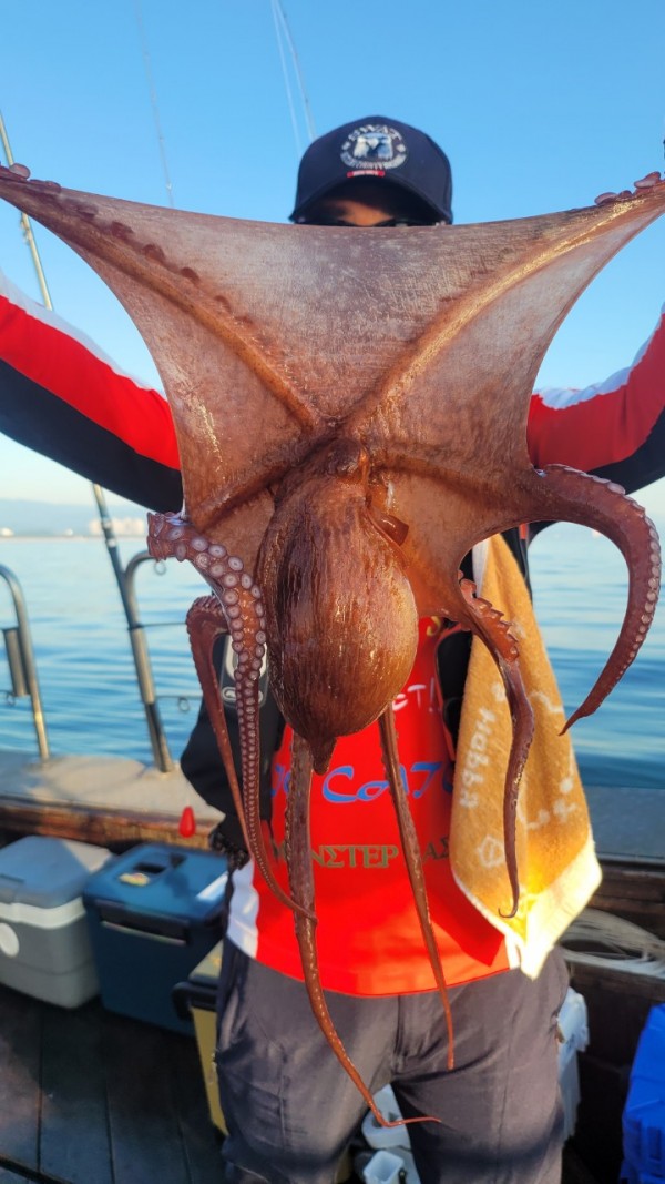 a35567316d2d17d5765a191279fe4477_1767512