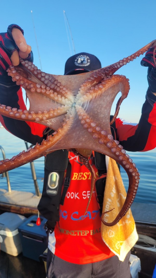 a35567316d2d17d5765a191279fe4477_1767512