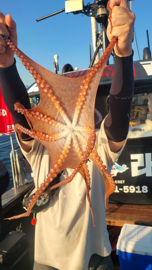 a35567316d2d17d5765a191279fe4477_1767512