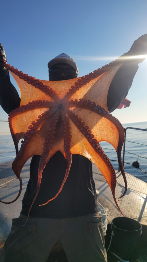 a35567316d2d17d5765a191279fe4477_1767512