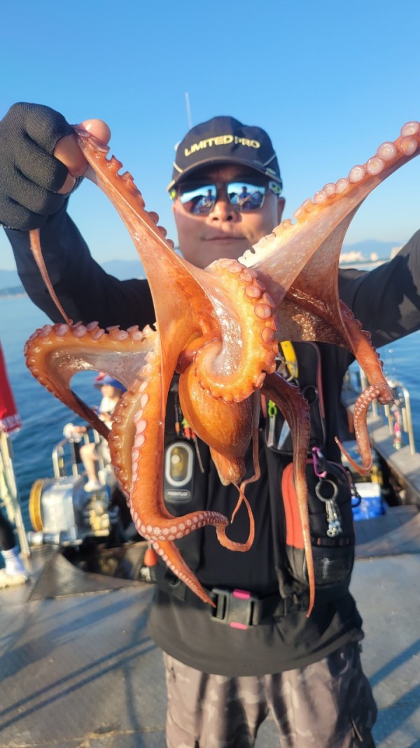 a35567316d2d17d5765a191279fe4477_1767512