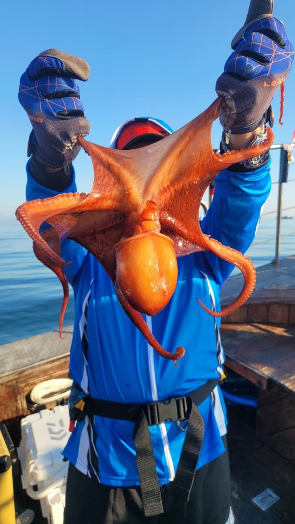 a35567316d2d17d5765a191279fe4477_1767512