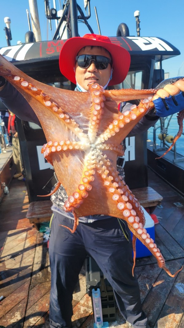 a35567316d2d17d5765a191279fe4477_1767512