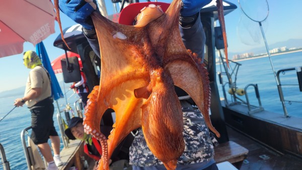 a35567316d2d17d5765a191279fe4477_1767512