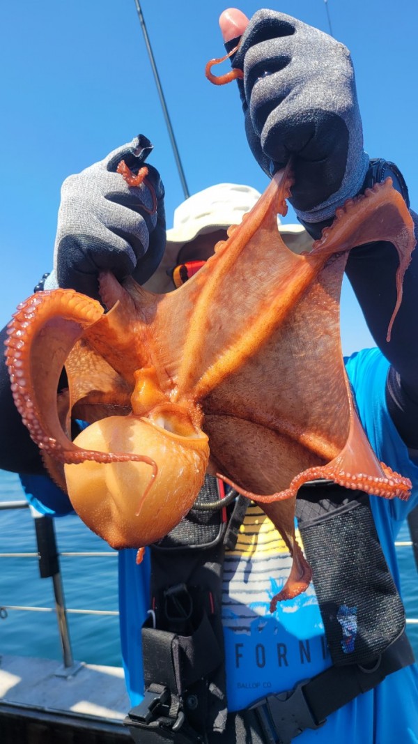 a35567316d2d17d5765a191279fe4477_1767512