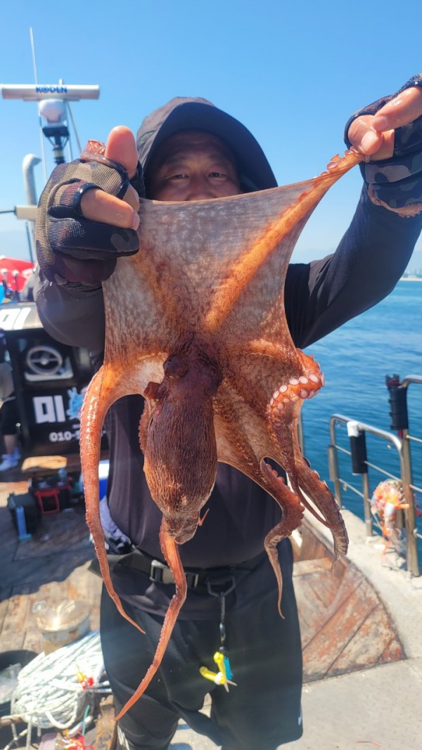 a35567316d2d17d5765a191279fe4477_1767512