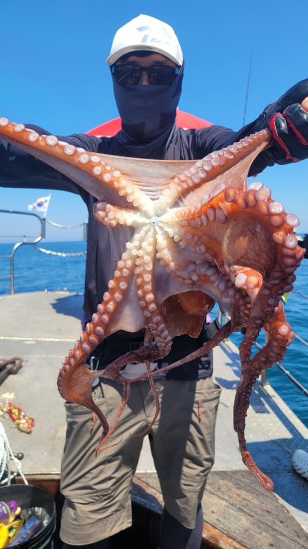 a35567316d2d17d5765a191279fe4477_1767512