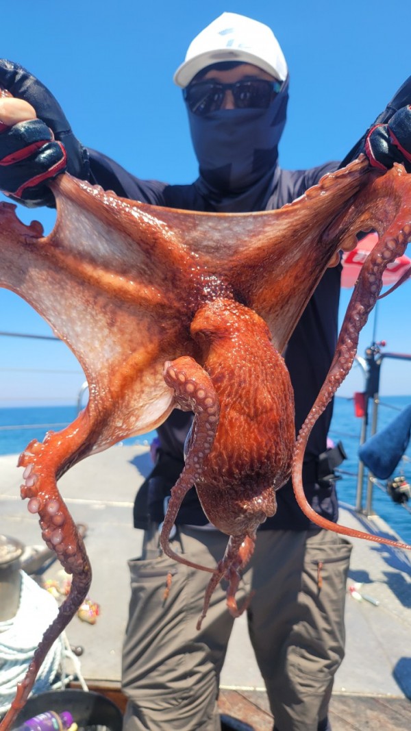 a35567316d2d17d5765a191279fe4477_1767512