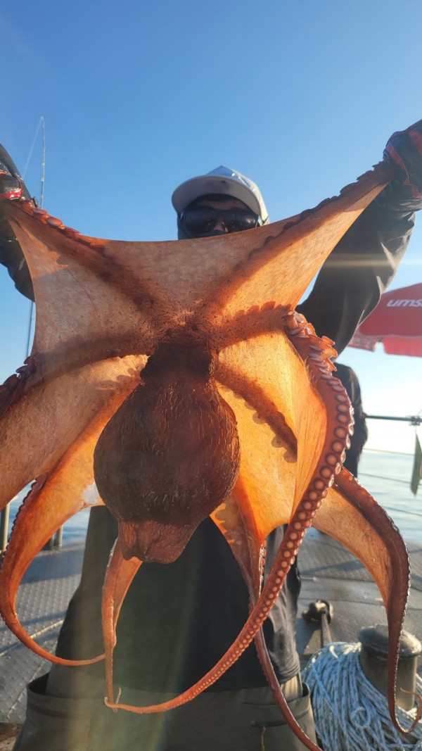 a35567316d2d17d5765a191279fe4477_1767512