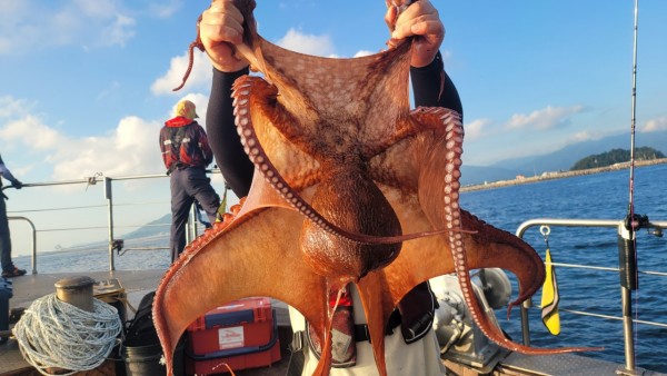 a934cdf84c55055a4260e5ebad55c0ff_1767508