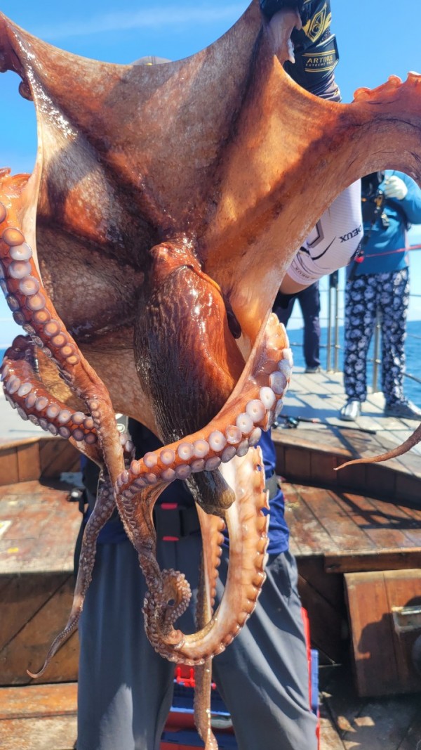 a934cdf84c55055a4260e5ebad55c0ff_1767508