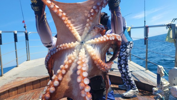 a934cdf84c55055a4260e5ebad55c0ff_1767508