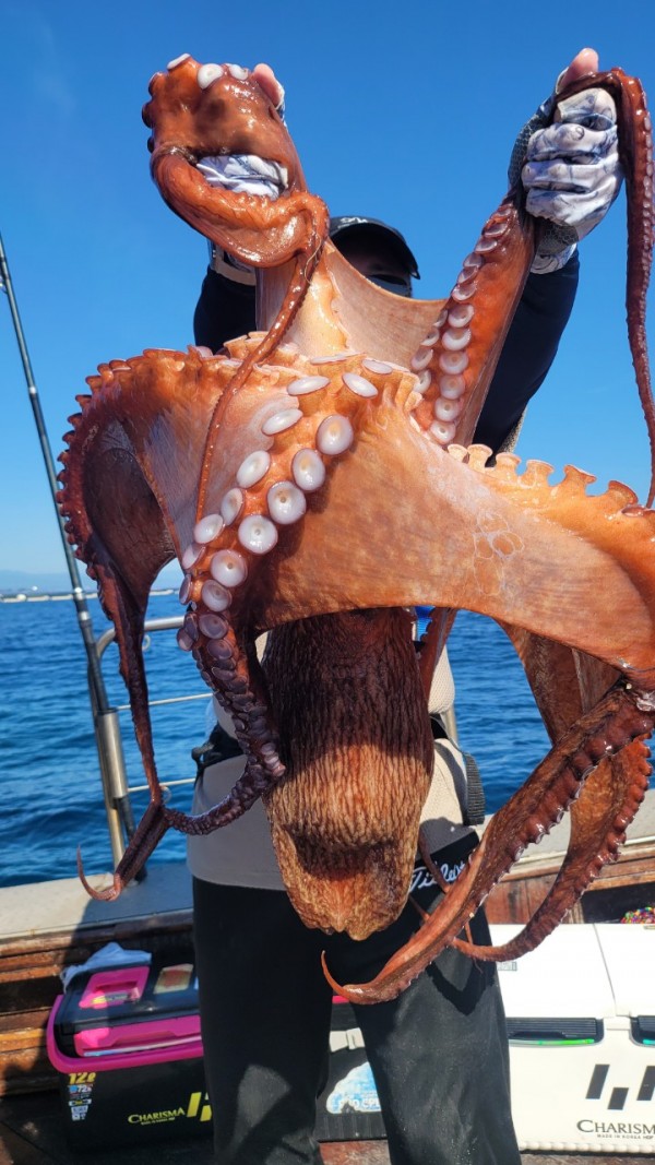 a934cdf84c55055a4260e5ebad55c0ff_1767508