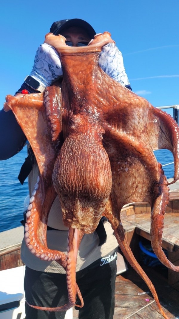 a934cdf84c55055a4260e5ebad55c0ff_1767508