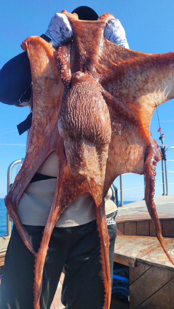 a934cdf84c55055a4260e5ebad55c0ff_1767508