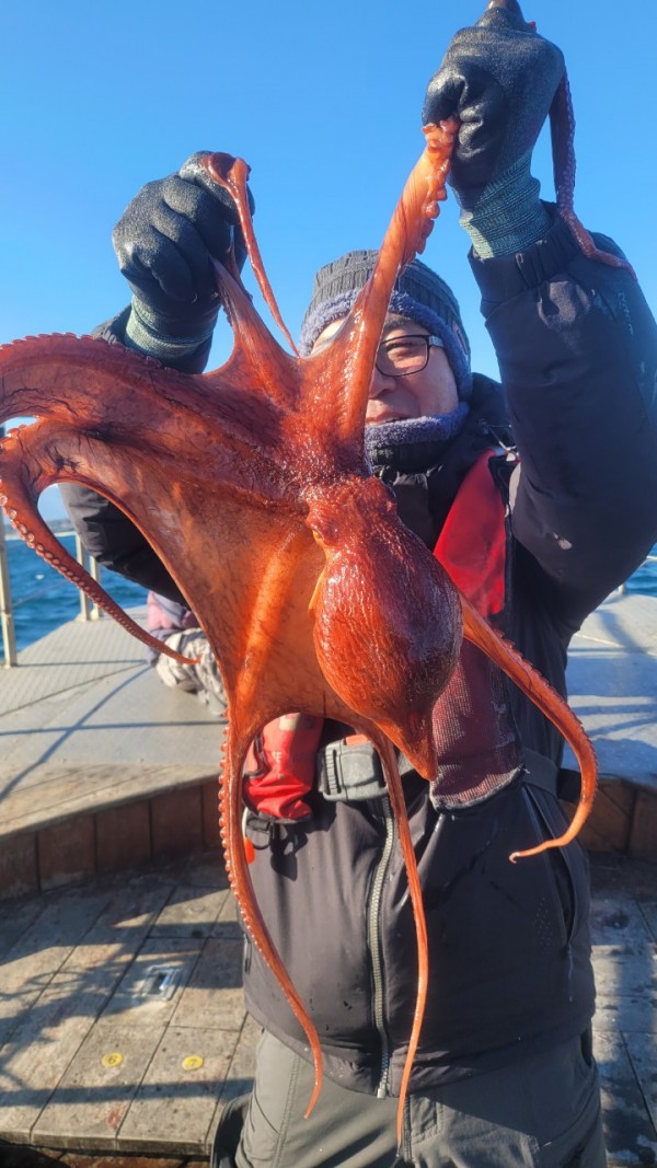 bd58d51c969fd984fc014dc1e1761767_1769477