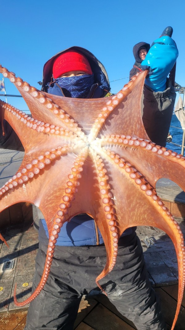 bd58d51c969fd984fc014dc1e1761767_1769477