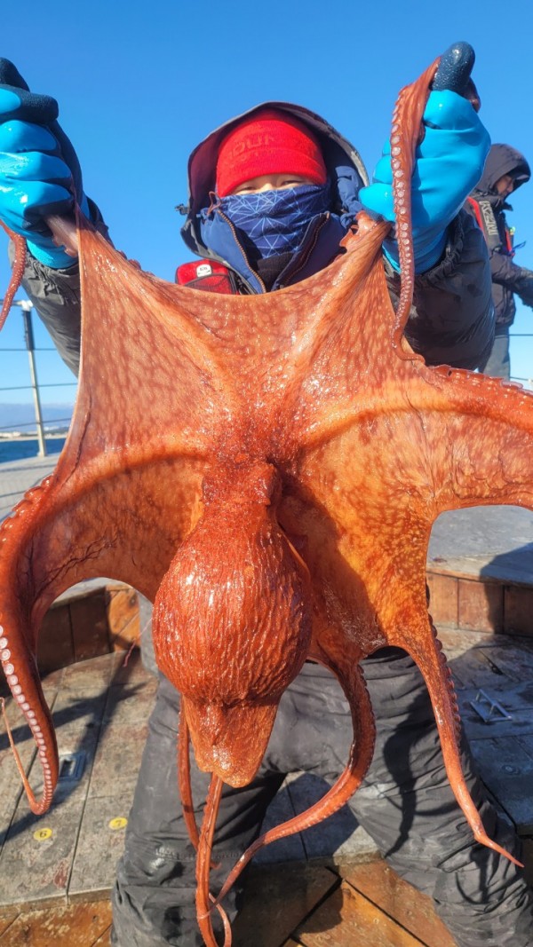 bd58d51c969fd984fc014dc1e1761767_1769477