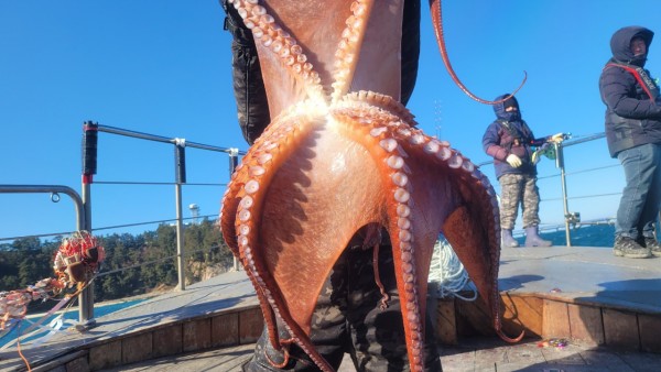 bd58d51c969fd984fc014dc1e1761767_1769477