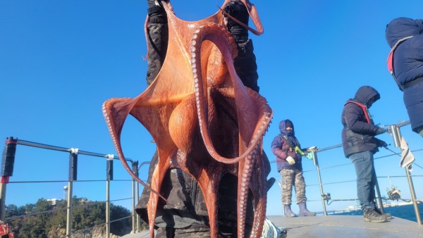 bd58d51c969fd984fc014dc1e1761767_1769477