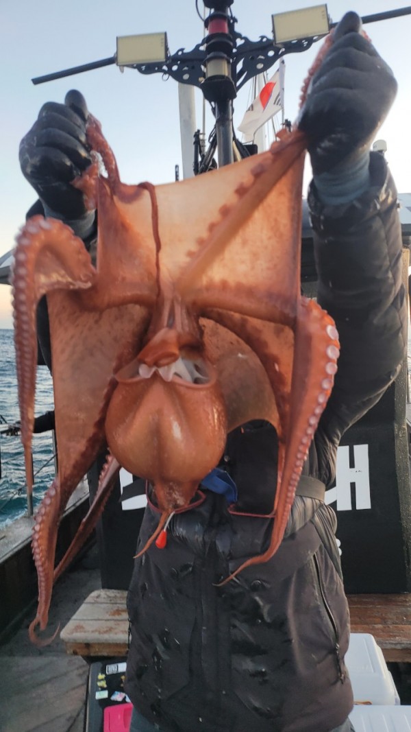 bd58d51c969fd984fc014dc1e1761767_1769477