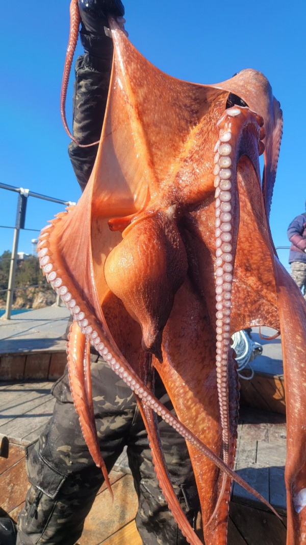 bd58d51c969fd984fc014dc1e1761767_1769477