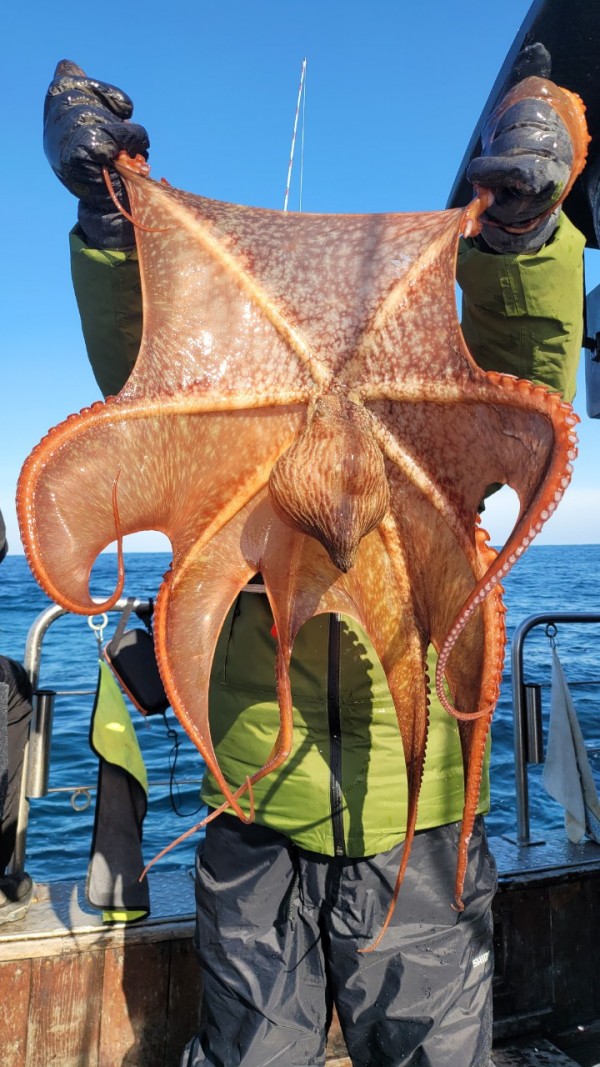 c662652df8660ae03e679a62d09f9220_1769760