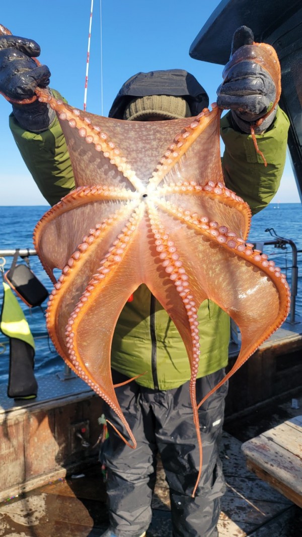 c662652df8660ae03e679a62d09f9220_1769760