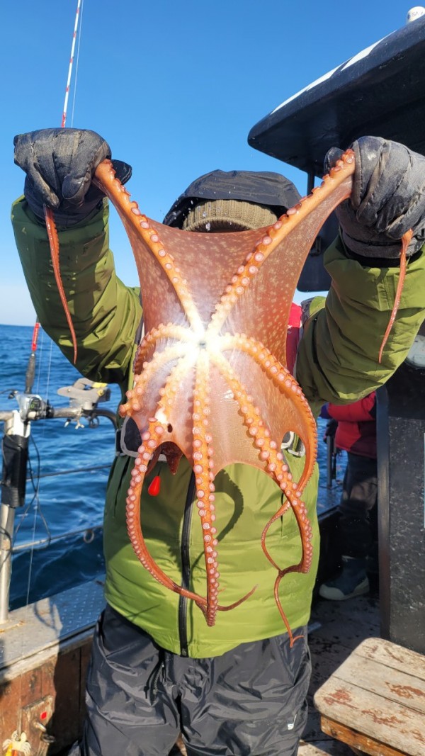 c662652df8660ae03e679a62d09f9220_1769760