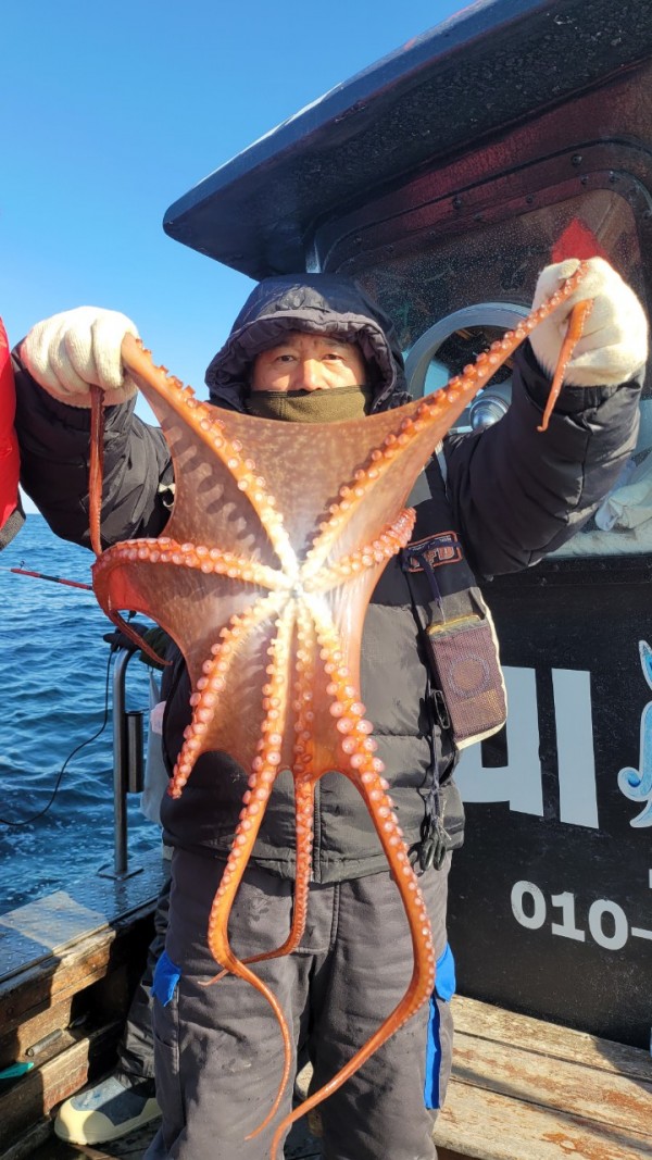 c662652df8660ae03e679a62d09f9220_1769760