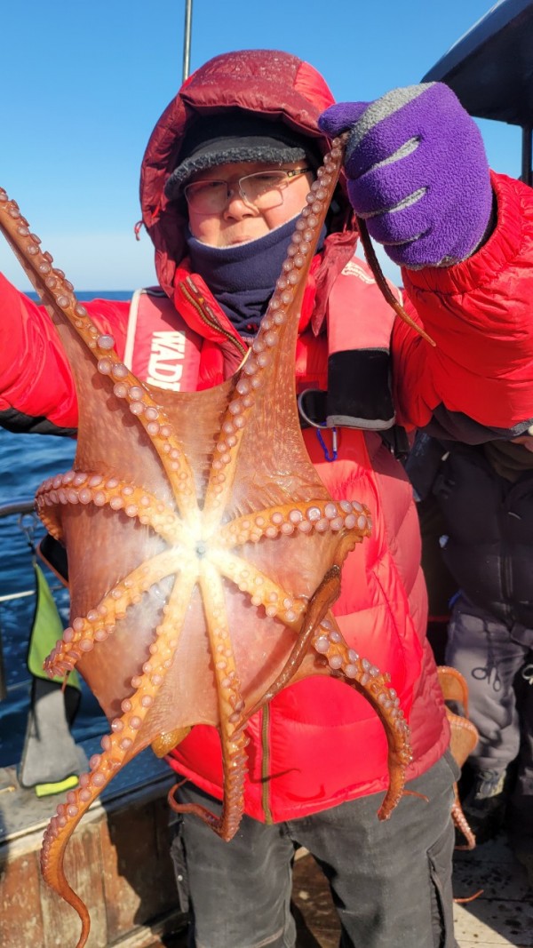 c662652df8660ae03e679a62d09f9220_1769760