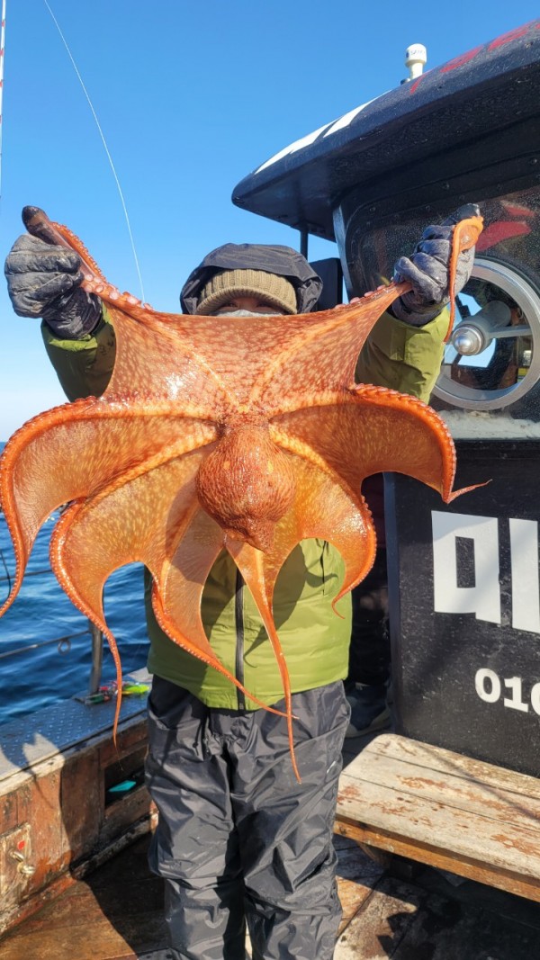 c662652df8660ae03e679a62d09f9220_1769760