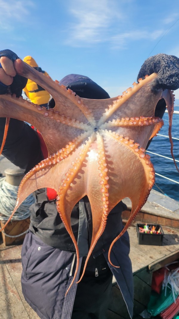 c662652df8660ae03e679a62d09f9220_1769760