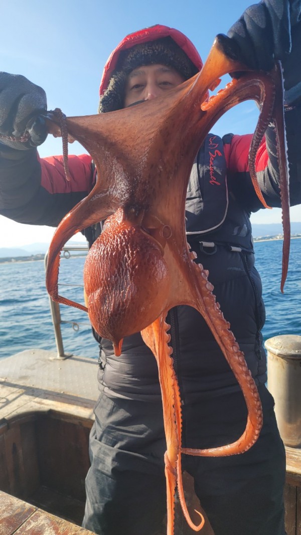 c662652df8660ae03e679a62d09f9220_1769760