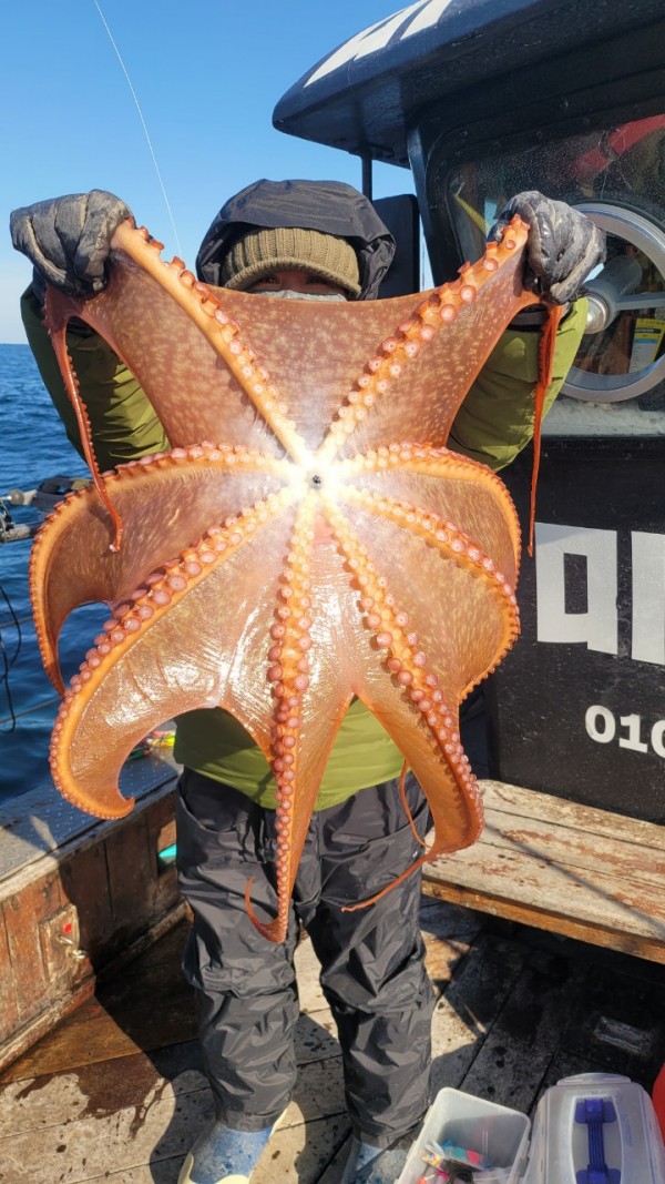 c662652df8660ae03e679a62d09f9220_1769760