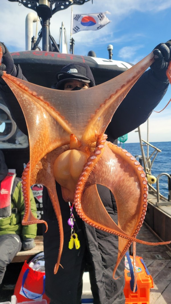 c662652df8660ae03e679a62d09f9220_1769760