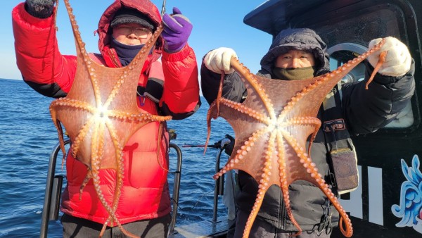 c662652df8660ae03e679a62d09f9220_1769760