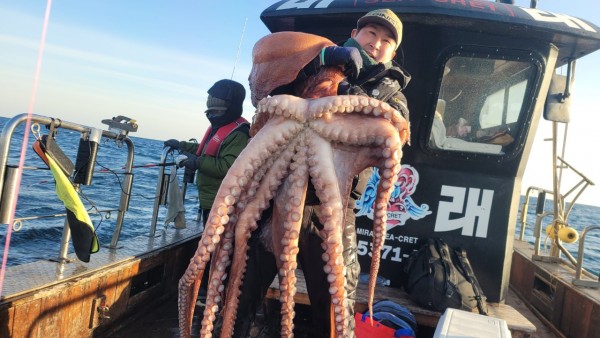 c662652df8660ae03e679a62d09f9220_1769760