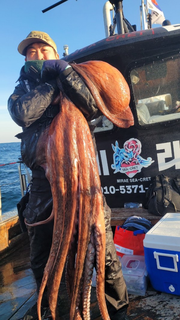 c662652df8660ae03e679a62d09f9220_1769760