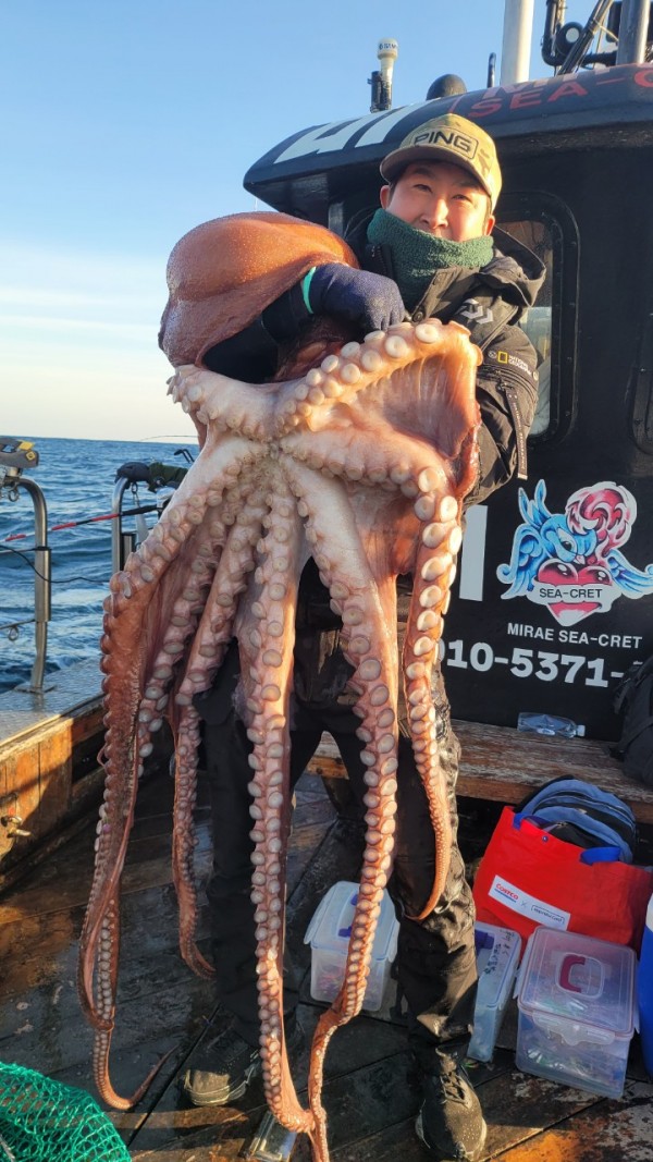 c662652df8660ae03e679a62d09f9220_1769760